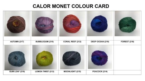Monet Crochet Beret Kit - Image 6