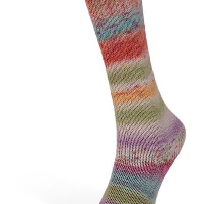 Carnival Identical Sock Yarn 100g