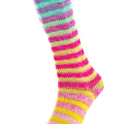 6ply Paint Sock Yarn